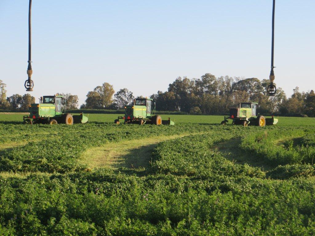 BVW006-GEMENGDE BOERDERY