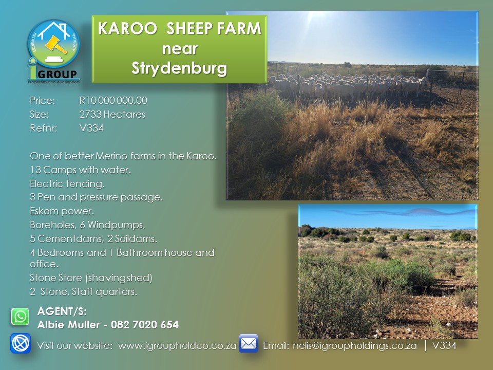 V334 – KAROO SHEEP FARM